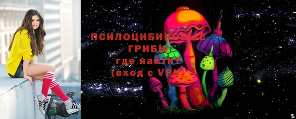 spice Баксан