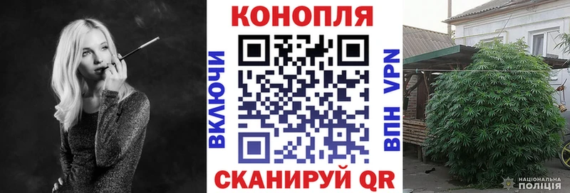 мега ссылки  закладки  Новопавловск  Канабис план 